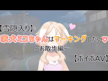 【雪隠入り?】家犬ミコちゃんはマーキングしたい♥【ボイボAV?】