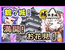 【城郭登城祭 第三陣！】お花見！満開！！全開！！鶴ヶ城！！！それと「ニコニコからあげグランプリ」