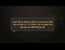 Palestine army video