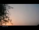 Shia group in Iraq video