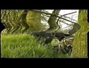 IRA edit