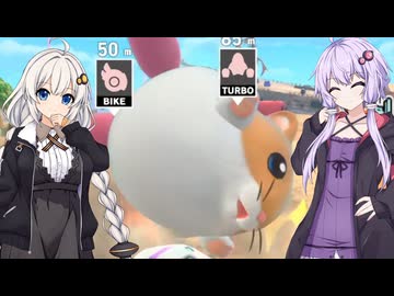 【カービィのエアライダー】ゆづきずエアライダー #32