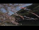 約６００匹のこいのぼりが”紫川を泳ぐ”　子供たちによる「こいのぼり掲揚体験」　北九州・小倉南区