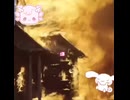 Wholesome video
