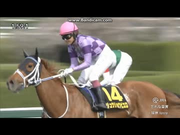 2026 忘れな草賞 (L)　ジュウリョクピエロ