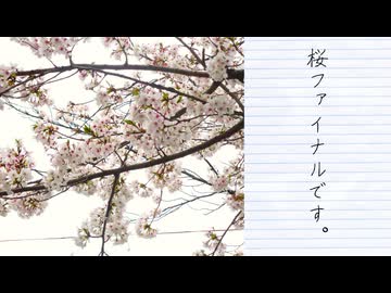 【春の特別企画】桜の季節の終わりを見届けに飛鳥山へ（第10話）