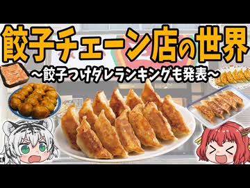 【皮の中に夢を詰めました】めちゃくちゃ美味い！餃子の世界　