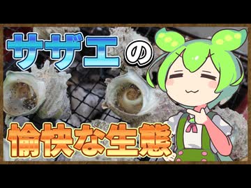 ずんだもんのたべもののヒミツ　‐サザエのヒミツ‐