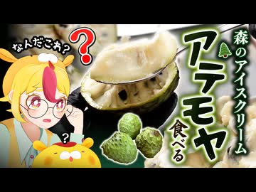 【森のアイスクリーム】アテモヤを食べまくる｜#おむらいす食堂