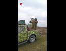 Ukrainian serviceman shots down a Russian Shahed/Geran-type long-range strike drone with the