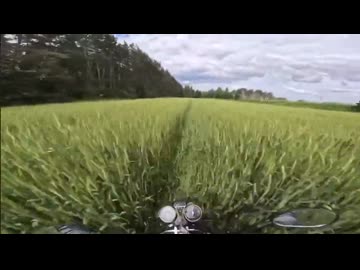 ホモと見る警察に追われている時に世界の広さを知ったライダー