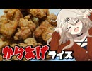 【味どうらくの里】からあげライスだもんに！つむぎとひまり