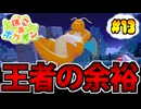 【実況】ぽこあポケモンでたわむれる Part13