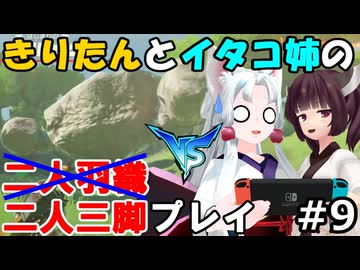 二人三脚ならマスターモードも余裕！？ゲーム歴０年のイタコ姉とブレスオブザワイルド#9【ゼルダの伝説BotW】(VOICEROID実況)
