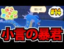 【実況】ぽこあポケモンでたわむれる Part14