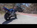 2026 Salvage Touring Report 2