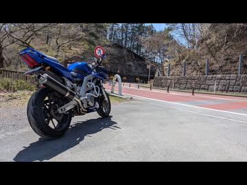 2026 Salvage Touring Report 2