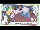 【ゲーム実況】たぬきときつねとぽこあポケモン #01