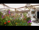 【VRChatワールド紹介】Overgrown Lab ｜ Optimized Photo World