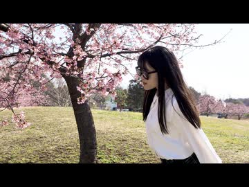 【桜の下で】うそつき 踊ってみた【後ろが新学期すぎる】