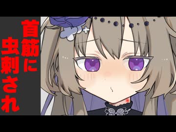 ボイロの首筋に虫刺され見つけた時