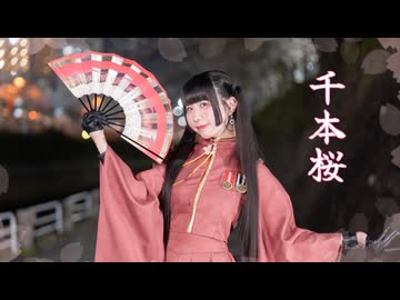 【80cmスーパーロング踊り手が】千本桜 踊ってみた【またたび灰猫】