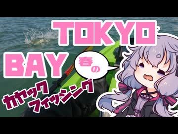 シーズン開幕から過去最大級の魚釣るおじさんを実況する結月ゆかり【VOICEROIDフィッシング】