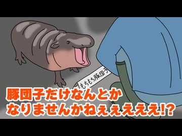 コビトカバ