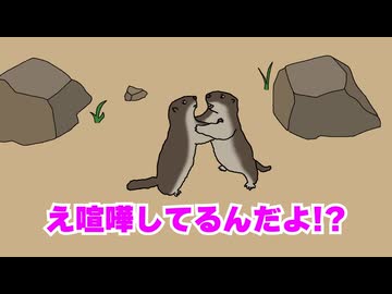 マーモット