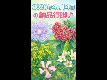 2026年4月14日の納品行脚♪