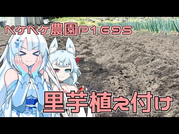 2026年4月14日　農作業日誌P1695　季節は里芋の植え付けシーズン！