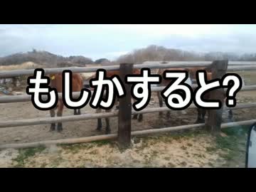 8ドルの差別(正当な利用料)