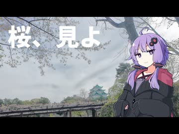 桜、見よ【名城公園】