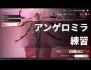 【実況なし】エンドフィールド エステーラパでアンゲロミラ練習 ７日目