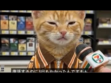 ホモと見る記者からインタビューを受けまくる子猫