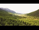 Lush Green Forest And Mountain Landscape On A Sunny Day - aerial shot