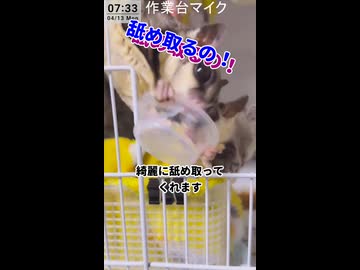 【資源ごみ分別】 ちゃんとゼリーのカップは綺麗にしなきゃ！ #切り抜き動画  #フクロモモンガ #おつモモンガ  #shorts
