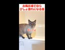 お風呂場でブチ切れてるかと思ったら…