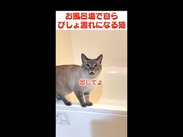 お風呂場でブチ切れてるかと思ったら…