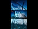 グッバイ、サテライト / 初音ミク
