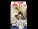 猫なのに、ほぼ人間の子供と同じ言動をする猫