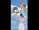 【山岸愛梨】ぎしミーム 喧嘩する猫