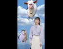 【山岸愛梨】ぎしミーム うるさいヤギ はぁ？