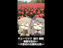 【VOICEVOX旅行 ショートバージョン】チューリップ 紹介 満開 素敵な色合い  ～大宮花の丘農林公苑～【ラップっぽいなにか】