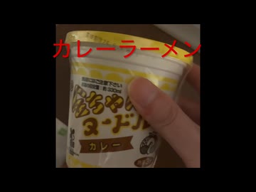 金ちゃんヌードルカレー味喫食202604