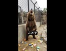 動物園