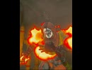 【ブレワイ】ウワー！ウワウワー！【ドリカラ】【ゼルダの伝説ブレスオブザワイルド,BotW,ゼル伝,】#shorts