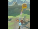 【 BotW 】 投ボコ機 ( Boko Catapult ) 【 ドリカラ 】#shorts
