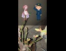 梅盆栽　実況