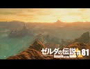 【ゆっくり実況】マスターモードで遊ぶブレワイ#81